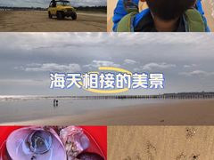 -日照海滨国家森林公园
