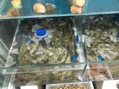 -宾朋海鲜特色美食餐厅·纯手工鲅鱼水饺(兴海路店)