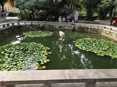 -红梅公园