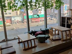 靠窗位-藏猫猫咖啡主题馆(中央大道店)