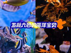 -正佳极地海洋世界