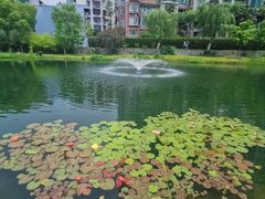 -西北湖绿化广场