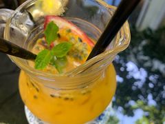 -Fern Forest Cafe