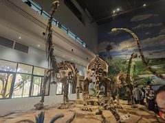 -自贡恐龙博物馆