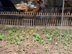 -黄山老妈·土菜(碧桂园店)