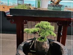 -阜昌典当行(阜成门店)