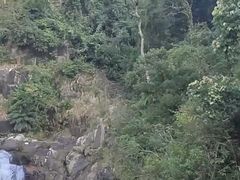 -海南热带雨林国家公园吊罗山景区