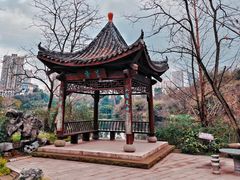-重庆彩云湖湿地公园