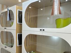 -青奢宠物·青奢猫舍