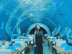 -涛·海底餐厅·美人鱼·自助餐·海底隧道(三亚海棠湾洲际度假酒店)