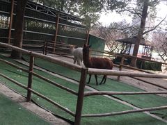 -秀丽东方