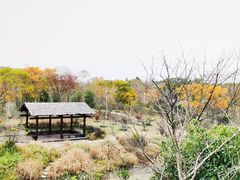 -柳鹭田园区