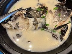 -老淳安—伴山伴湖(千岛湖开元度假村店)