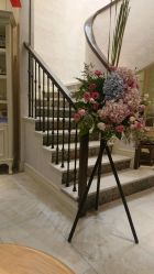 -海茱雅科技健康美容