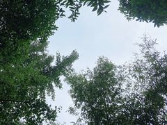 -西安国际创新人才交流中心•药浴温泉