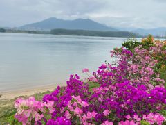 -福建鲤鱼洲酒店