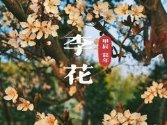 -澹台湖公园
