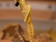 天目笋干-老鸭集(金沙龙湖天街店)