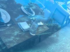-海棠湾洲际-涛·海底餐厅·美人鱼·自助餐·海底隧道