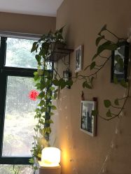 -Union瑜伽健康管理中心