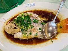-黄埔华苑酒家(黄埔总店)