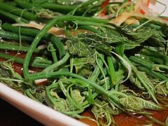 -鸽子窝(青塔店)