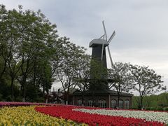 -上海鲜花港