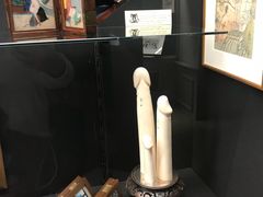 -阿姆斯特丹性博物馆