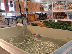-来相会饺子·新辽菜(甘家口店)