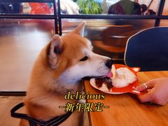 -the rug 飞毯 (朝阳公园店)