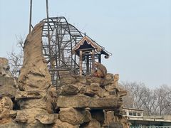 -保定市动物园