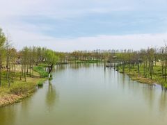 -上海长兴岛郊野公园