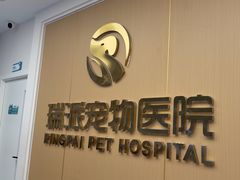 -瑞派康怡24h宠物医院·犬猫医疗中心·微创绝育(瑞景分院)