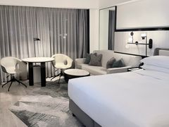 -新加坡乌节希尔顿酒店 (SG Clean)