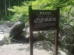 -山沟沟景区