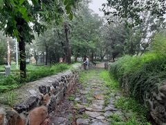 -阳台山自然风景区