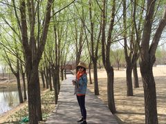 -东郊湿地公园