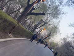 -长春市南湖公园