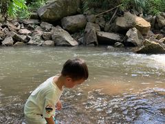 -铁山坪森林公园