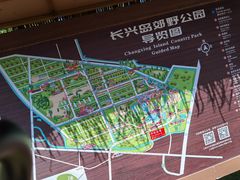 -上海长兴岛郊野公园