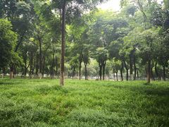 -后襄河公园