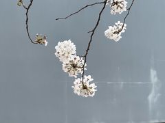 -上海南浦大桥长途旅游客运站