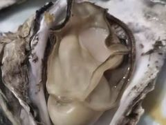 -海帮主·蒸汽海鲜青岛菜(栈桥火车站店)