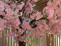 -松子料理(华威桥店)