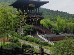 -大唐贡茶院