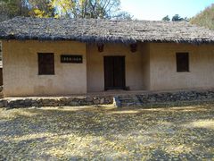 -千年银杏谷文化旅游区
