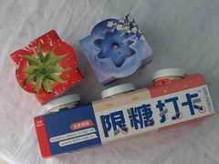 -乐纯(苹果社区店)