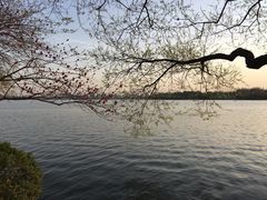 -浙江西子宾馆·瑶园咖啡厅