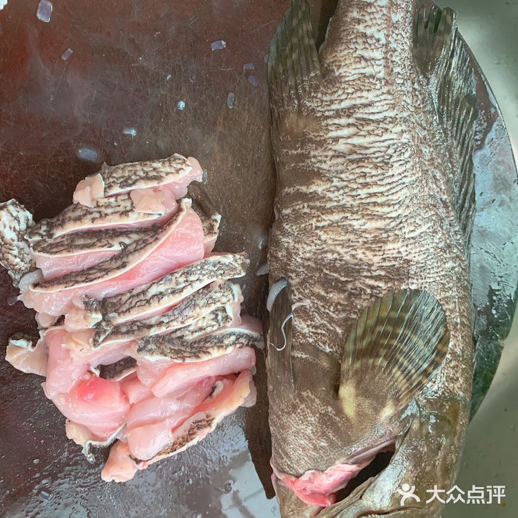 馋猫崽鼓捣下酒菜，清蒸石斑鱼。
