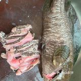 馋猫崽鼓捣下酒菜，清蒸石斑鱼。